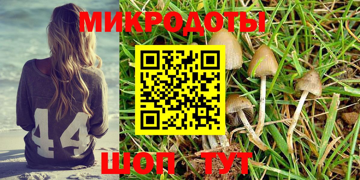 Каспийск  Галлюциногенные грибы Psilocybine cubensis  Вход с VPN  Галлюциногенные грибы мицелий 
