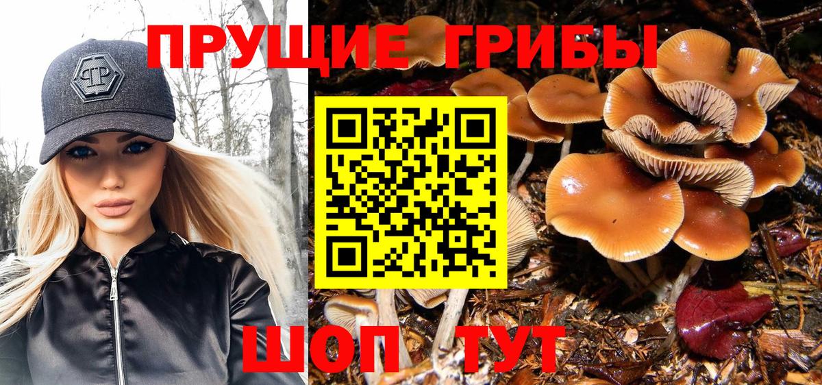 Галлюциногенные грибы Magic Shrooms Каспийск